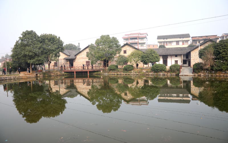 我校機(jī)關(guān)各黨支部開展主題黨日活動